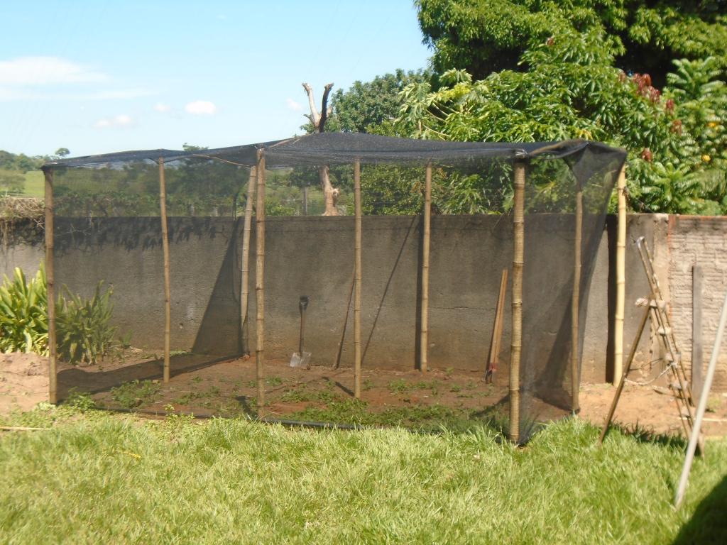 como fazer um viveiro de mudas