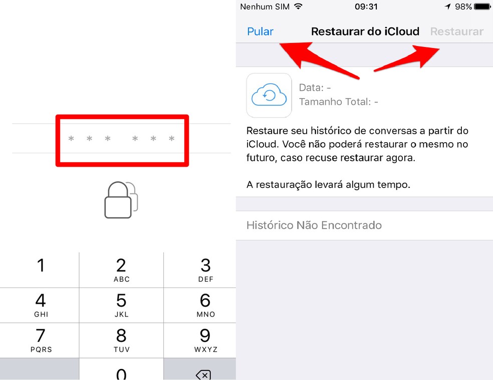 como fazer whatsapp sem chip