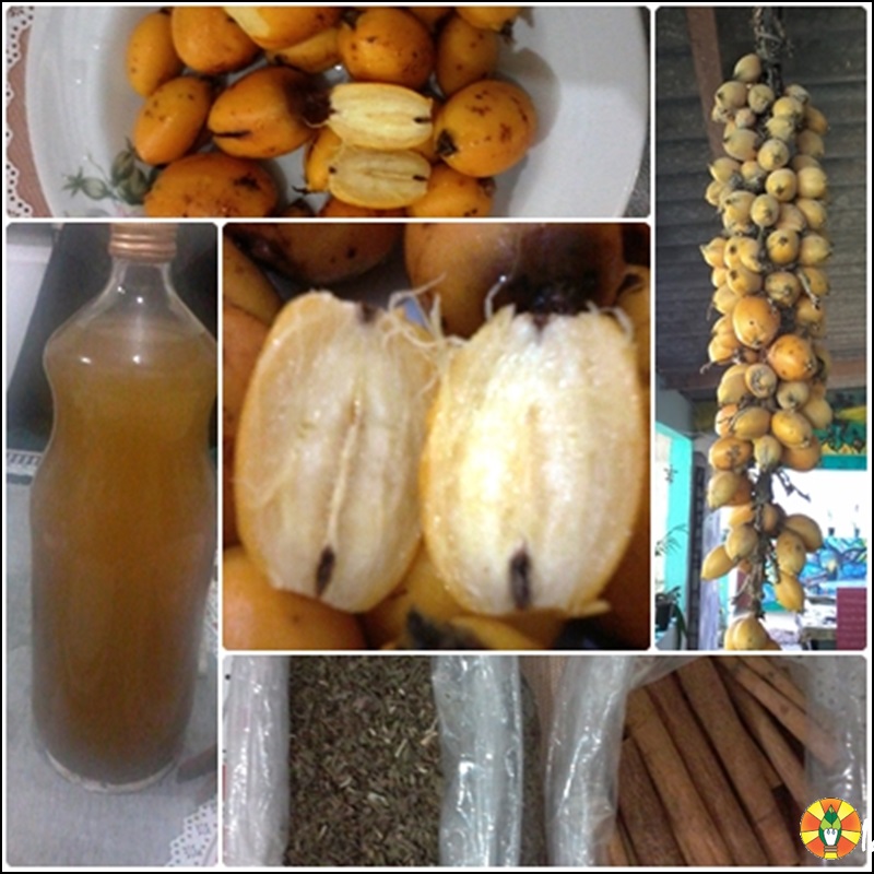 como fazer xarope de caraguatá