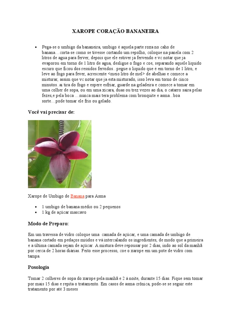 5 Benefícios do Guaco para a Saúde Respiratória