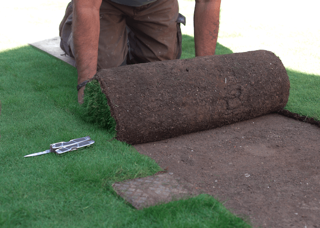 Ervas Daninhas Sob a Grama Sintética: Como Evitar