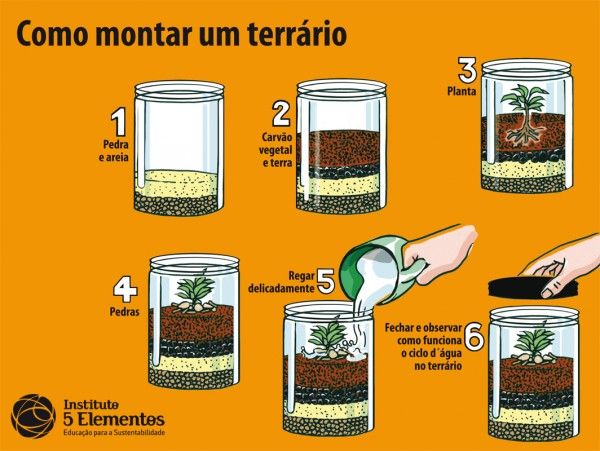 como fazer um terrário fechado passo a passo