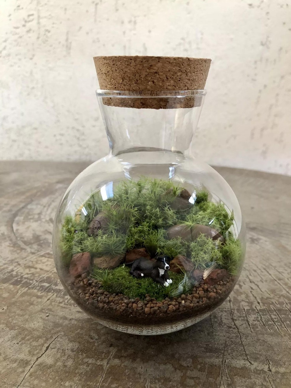 montar ecossistema autossustentável em vidro