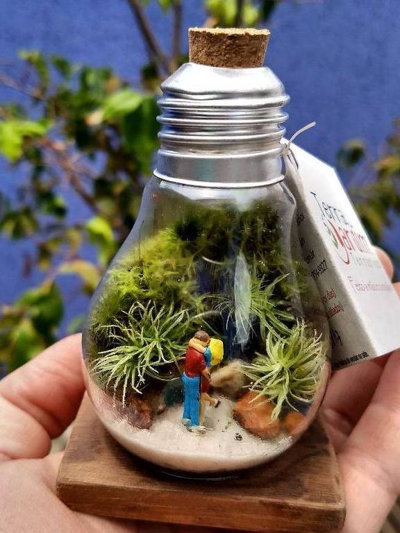 cuidados essenciais para terrário fechado