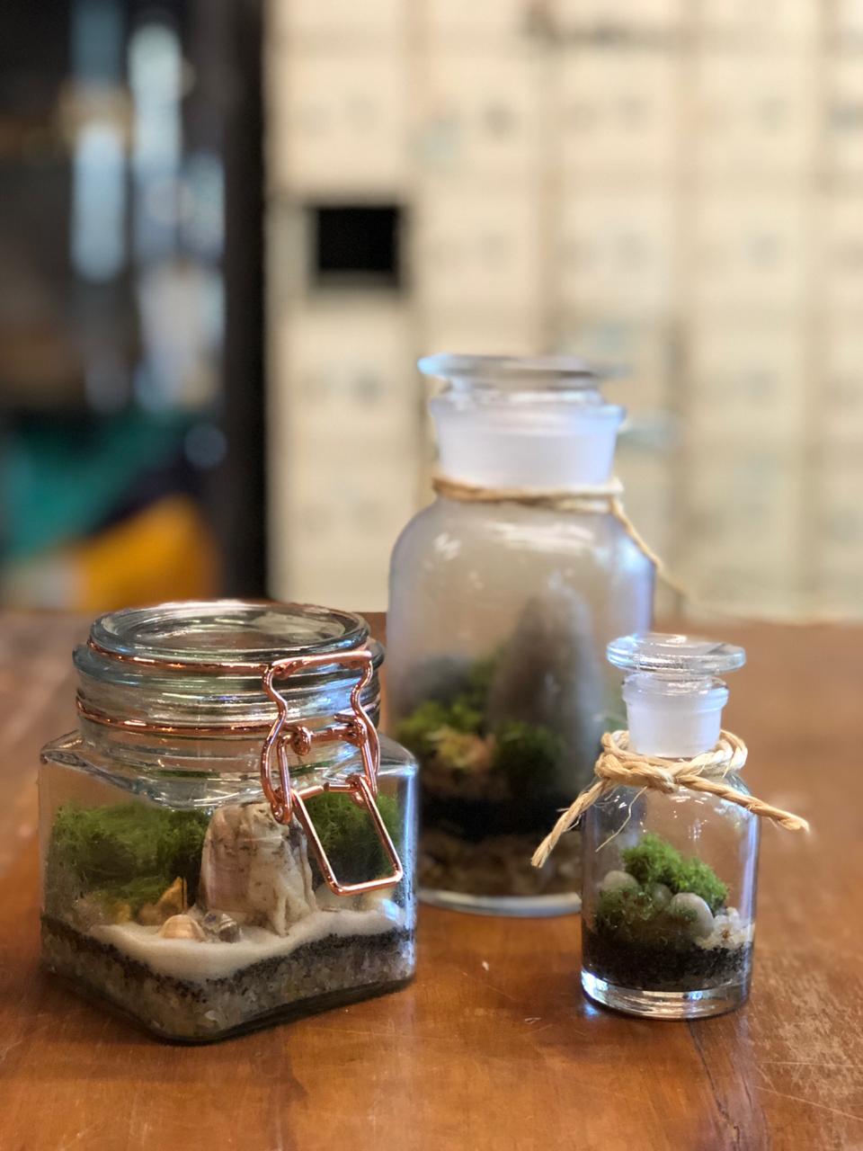 montar ecossistema autossustentável em vidro