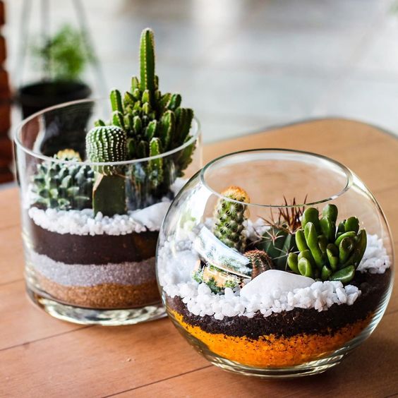 como fazer um terrário fechado passo a passo