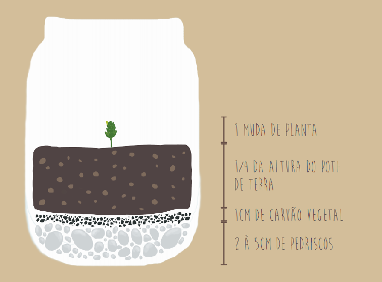 como montar um terrário fechado