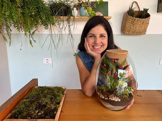 cuidados essenciais para terrário fechado