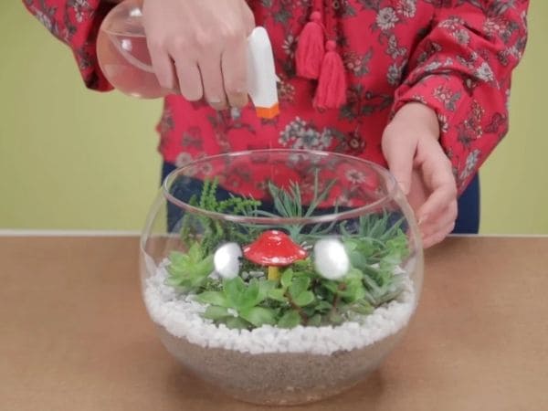 como fazer um terrário fechado passo a passo