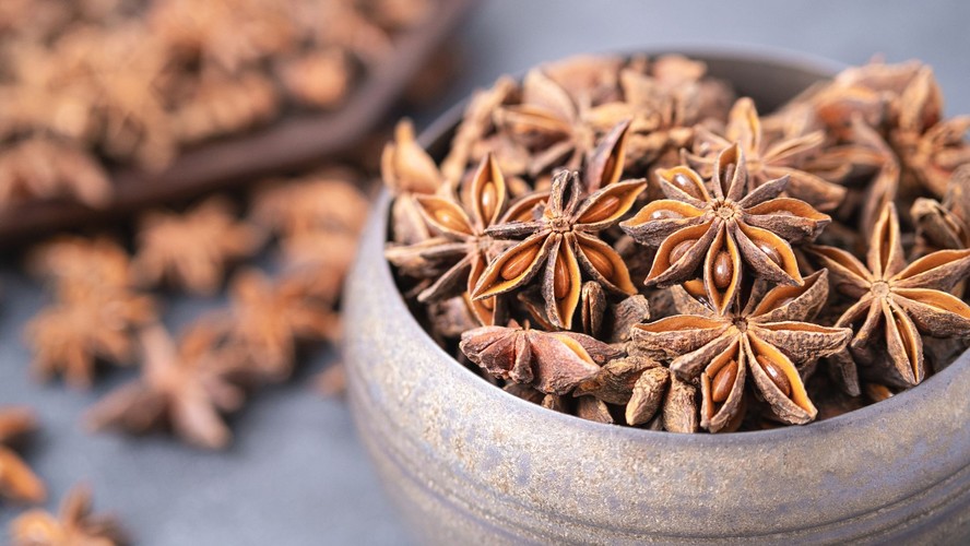 Cultivo de Anis-Estrelado em Vasos: Dicas Essenciais para Iniciantes