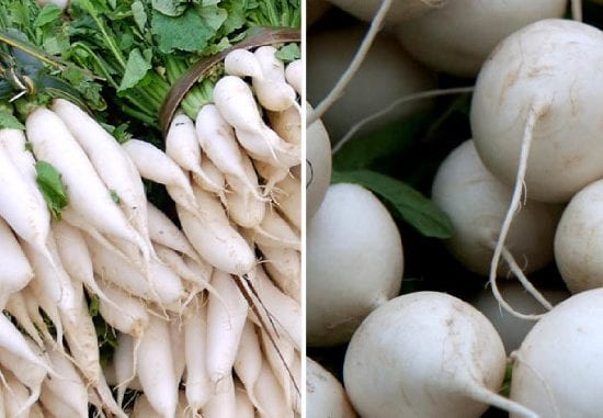 Dicas Essenciais para o Cultivo Orgânico de Nabo