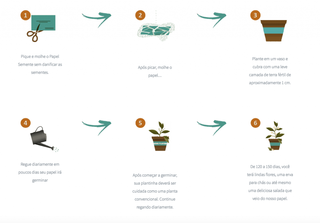 5 ideias de títulos:
1. Guia Completo: Como Plantar Cerejas do Caroço Passo a Passo
2. Estratificação para Sementes de Cereja: O Segredo para a Germinação
3. Paciência e Técnica: O Que Esperar ao Cultivar Cerejas em Casa
4. Cerejeiras Nativas vs. Europeias: Qual a Melhor para o Seu Clima?
5. Da Semente à Fruta: Desafios e Recompensas de Cultivar Cerejas