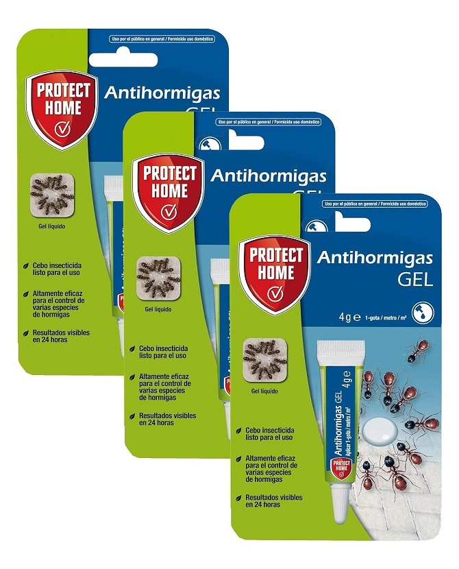 Top 5 Plantas Repelentes para Manter Formigas Longe das Suas Frutíferas