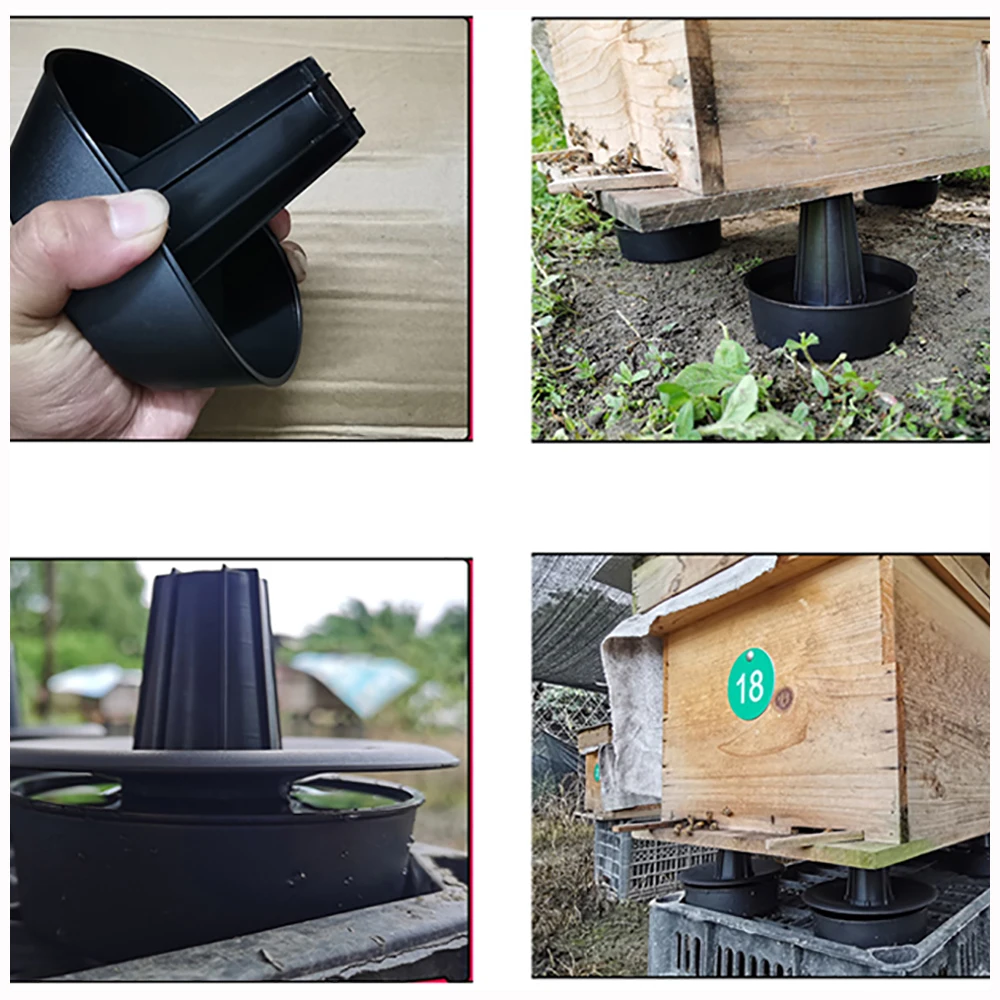 Receitas Caseiras de Repelentes Naturais para Formigas em Árvores Frutíferas