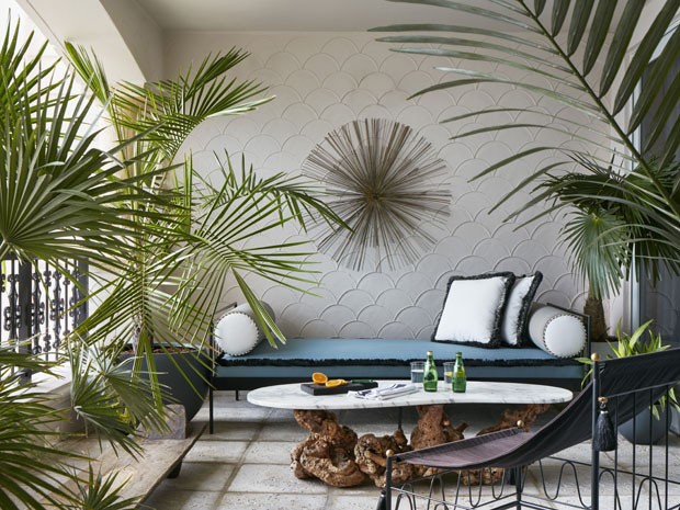 10 plantas ideais para refrescar ambientes internos