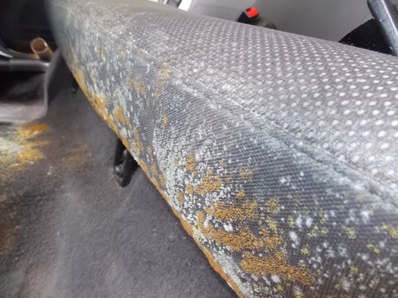 higienização interna automotiva