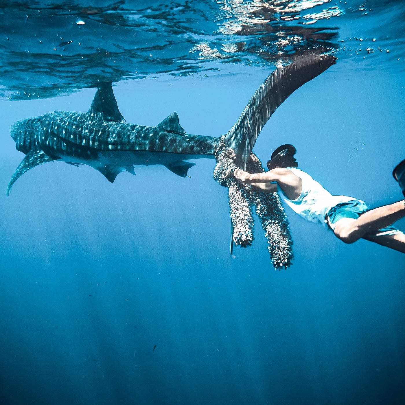 Guia Completo: Configurações Essenciais da GoPro para Fotos Perfeitas