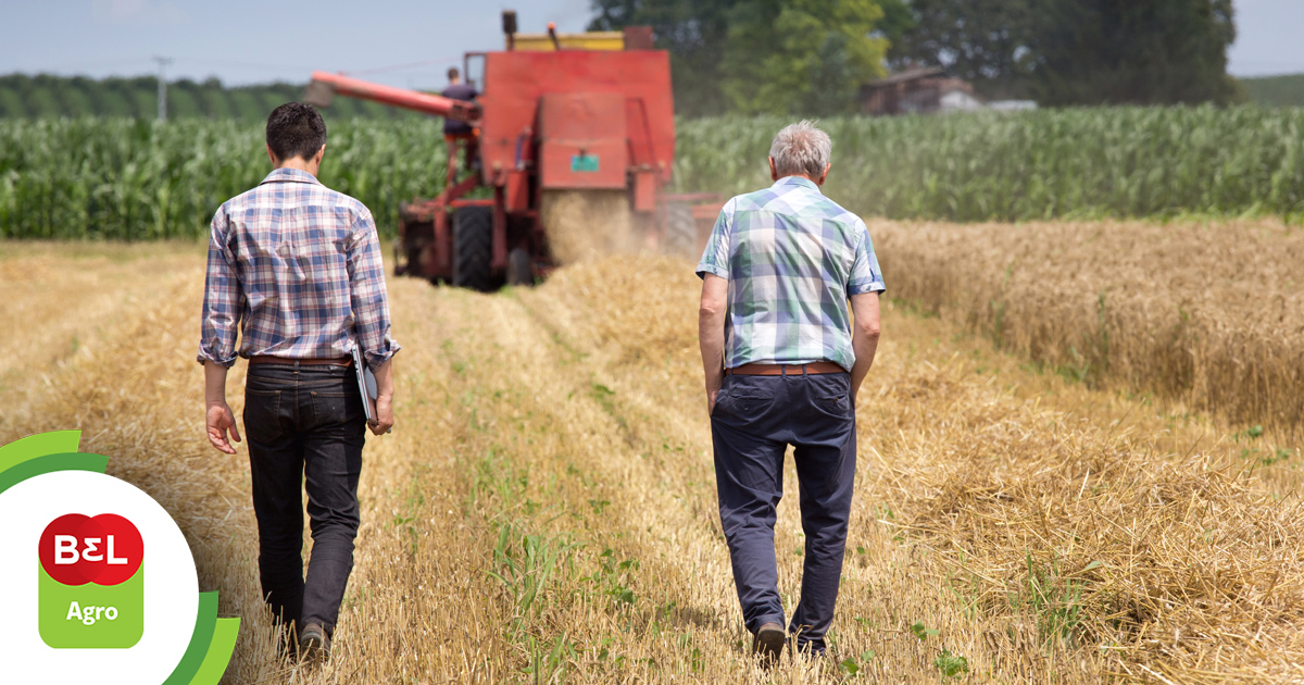 Como Utilizar Programas Governamentais (PAA e PNAE) para Escoar Sua Produção