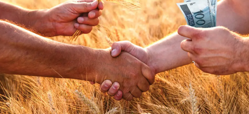 Guia Completo: Como Vender a Produção da Agricultura Familiar