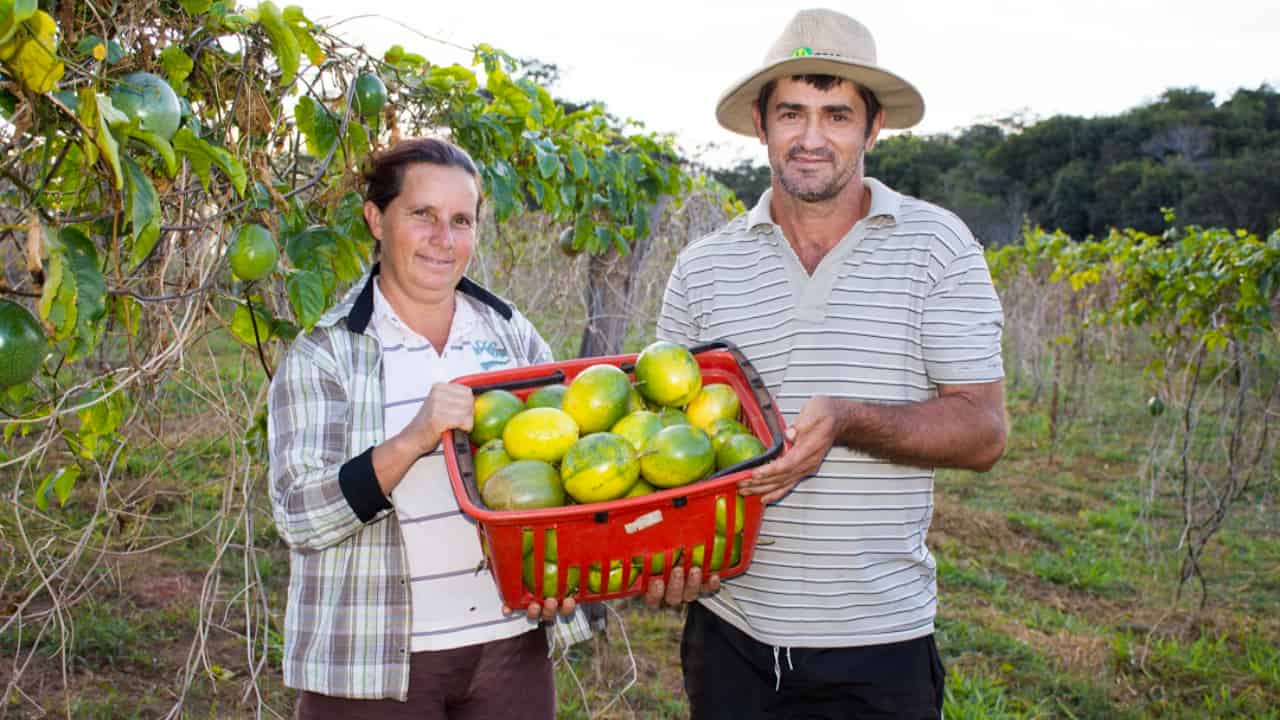Maximizando Lucros: Estratégias de Agregação de Valor na Produção Rural
