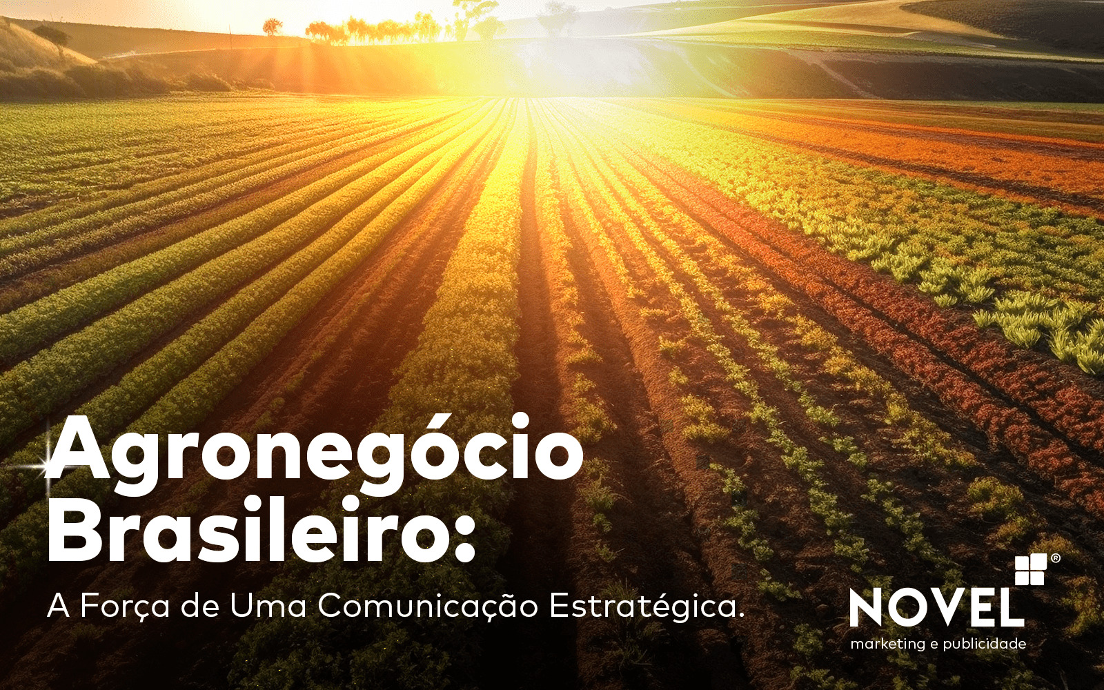 ESG no Agronegócio: Estratégias de Comunicação para Sustentabilidade