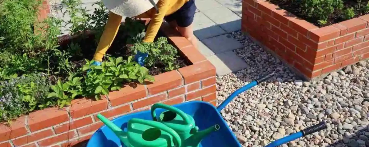 Como Calcular a Quantidade de Terra para seu Canteiro Elevado