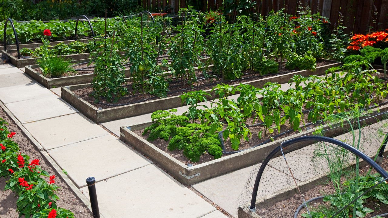 Canteiros Elevados de Alvenaria vs. Madeira: Qual Escolher?