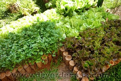 Soluções de Drenagem Eficientes para Canteiros Elevados