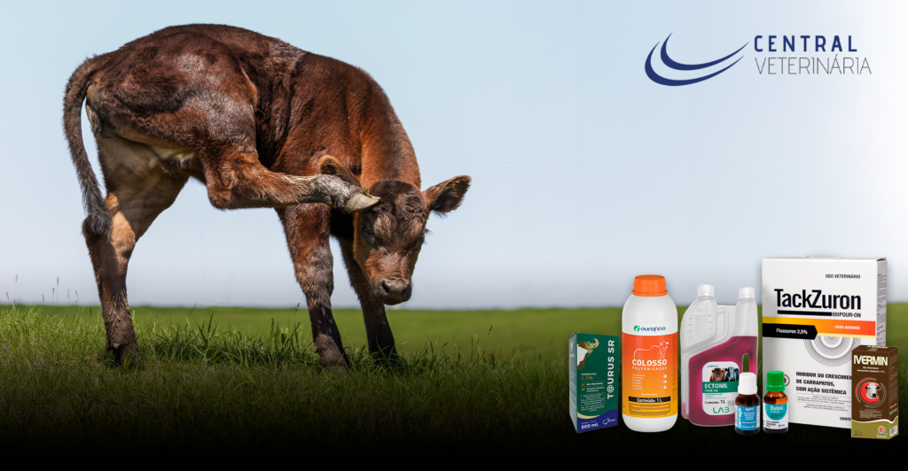controle de carrapatos em bovinos