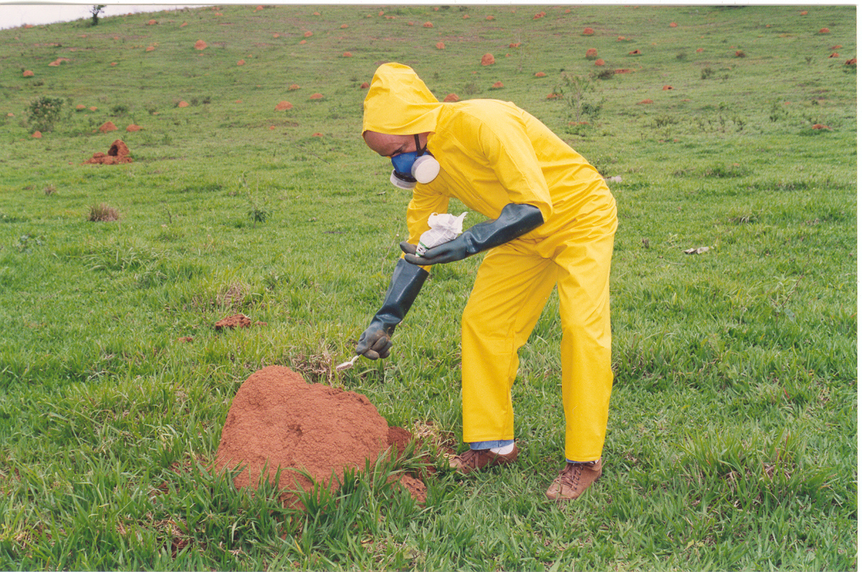 Guia Completo: Como Escolher o Melhor Cupinicida para Sua Casa