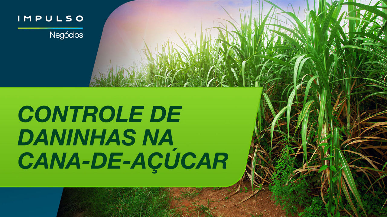 controle de plantas daninhas na cana