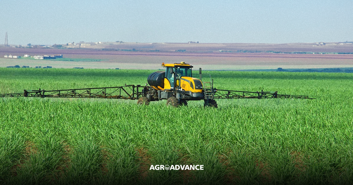 Desafios e soluções para plantas daninhas resistentes na cultura da cana