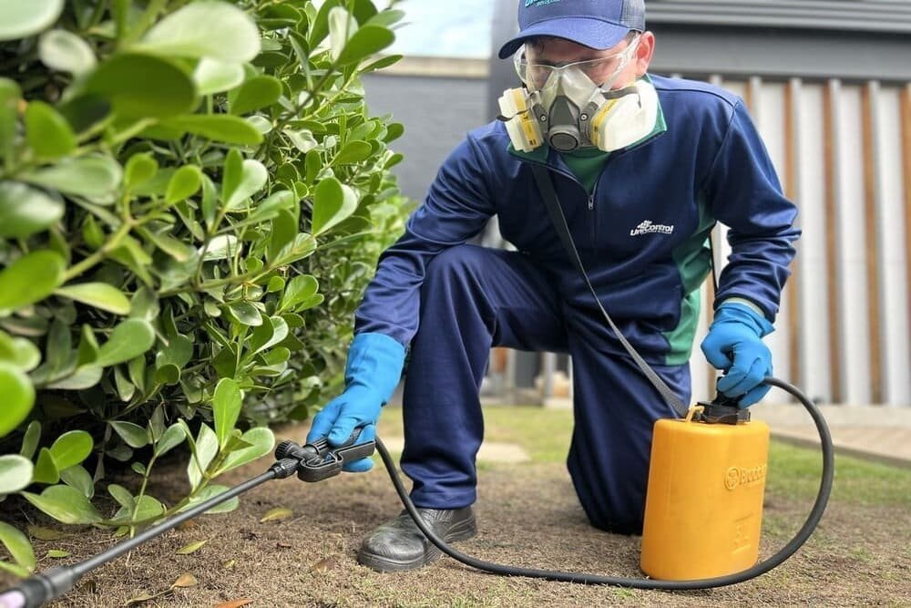 Manejo Integrado de Pragas: Prevenção e Tratamento para um Jardim Saudável