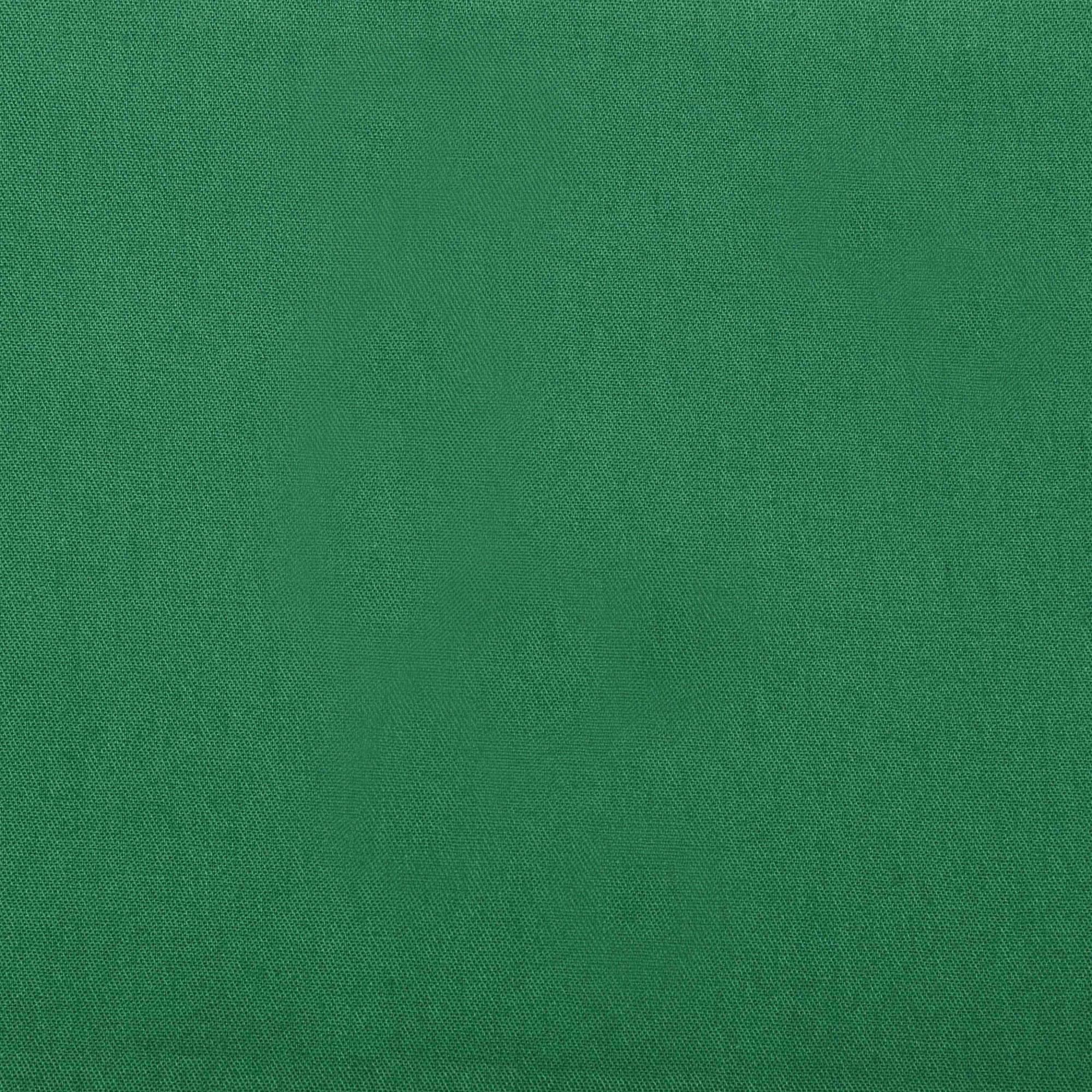 Tintas Verde Bandeira: As Melhores Opções da Suvinil e Coral