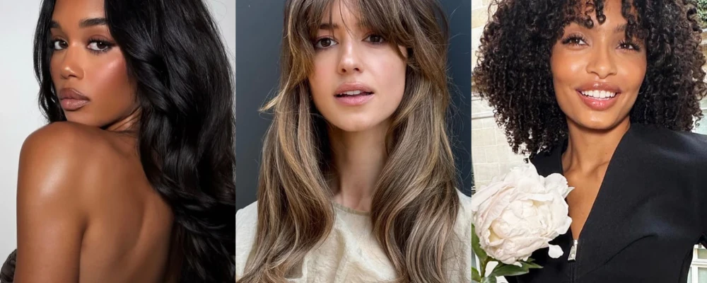 loiro manteiga vs loiro mel qual escolher