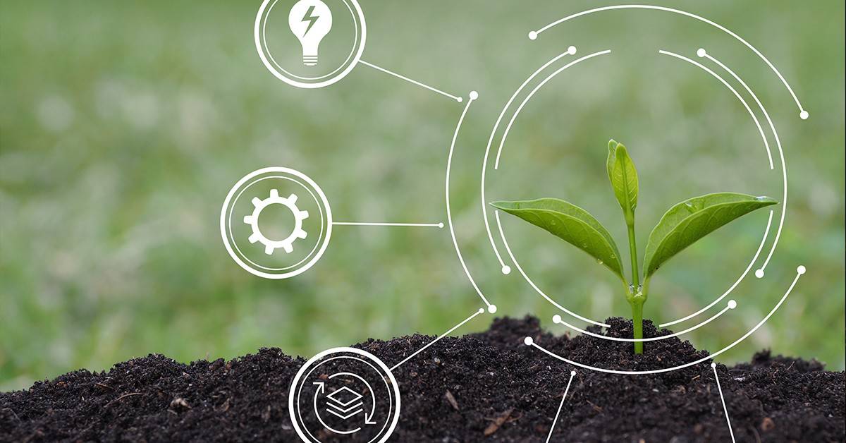 5 Práticas Agrícolas que Mais Geram Créditos de Carbono