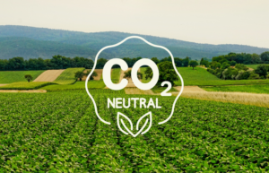 Guia Completo: Como Calcular e Vender Seus Créditos de Carbono