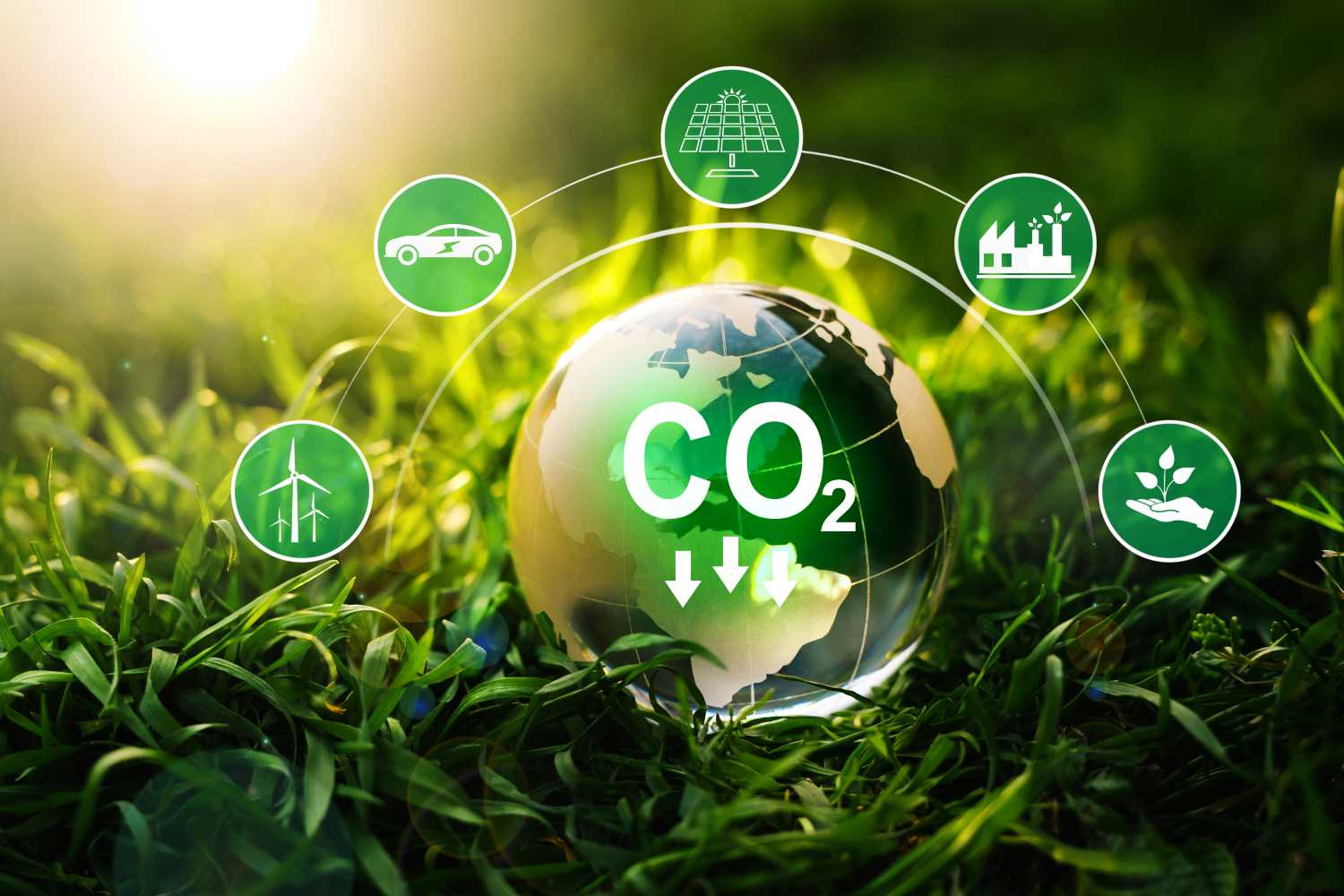 O Impacto da Nova Lei de Licenciamento Ambiental no Agro