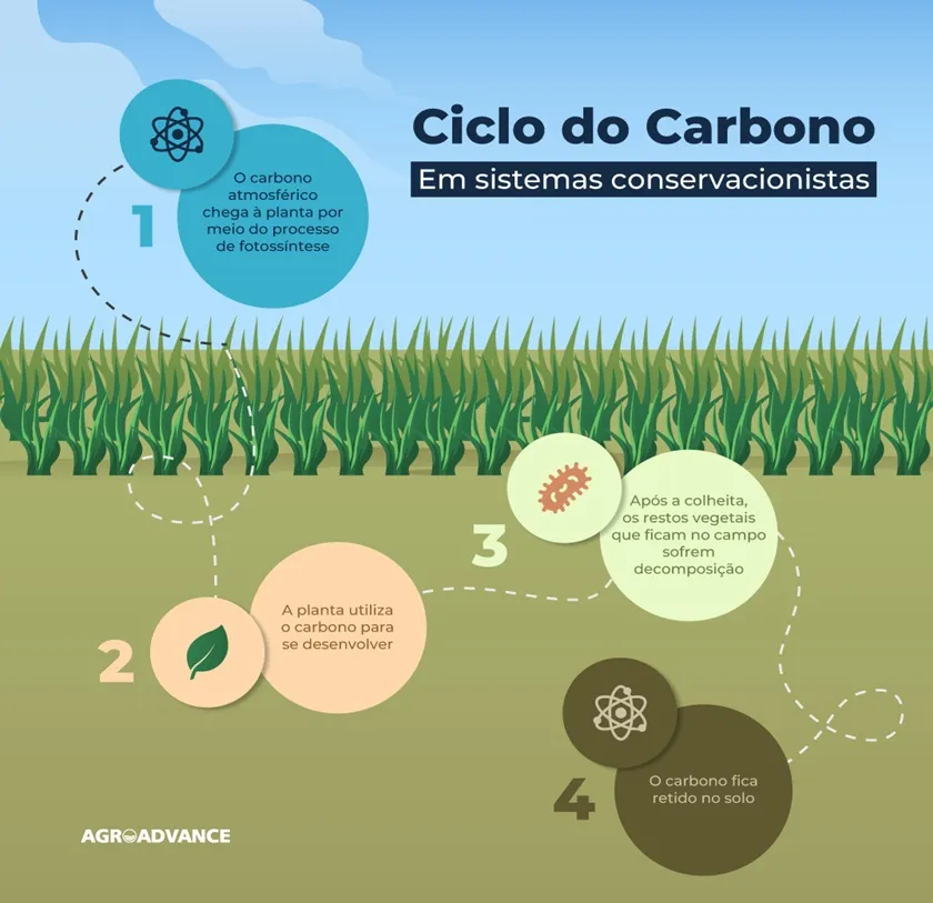 Entenda o Mercado Regulado de Carbono no Brasil Pós-2026
