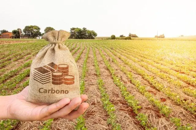 Guia Completo: Como Calcular e Vender Seus Créditos de Carbono