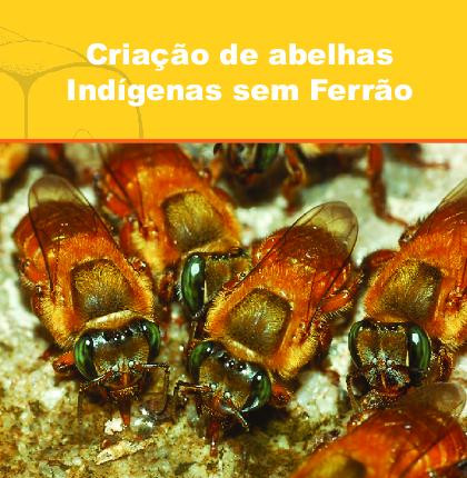 Guia Completo: Legislação para Criação de Abelhas Sem Ferrão no Brasil