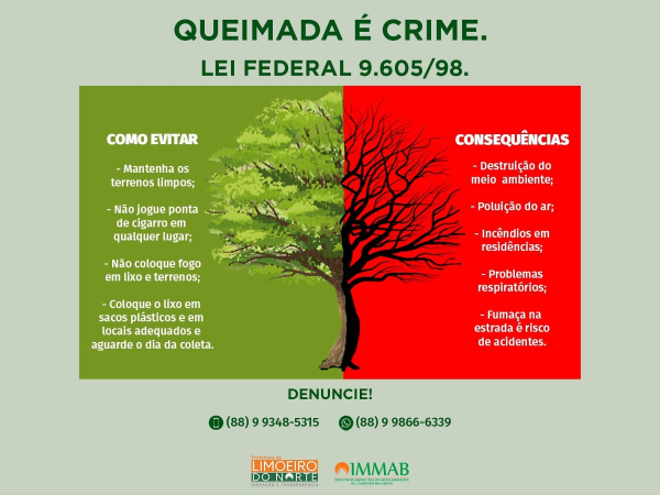 Protegendo a Fauna Rural: Um Guia Contra Maus-Tratos e Caça Ilegal