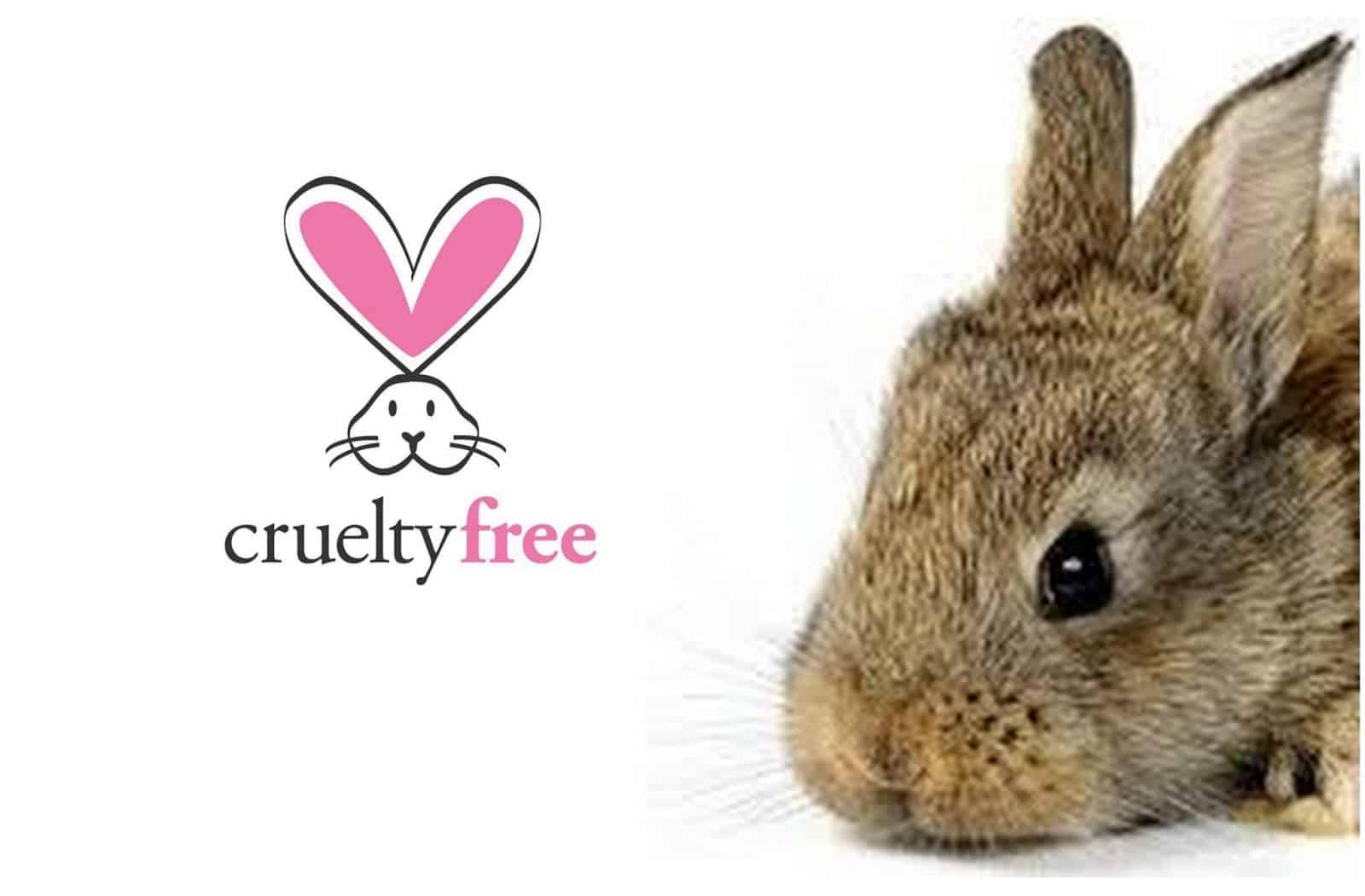 A Lei Brasileira e os Testes em Animais na Indústria Cosmética