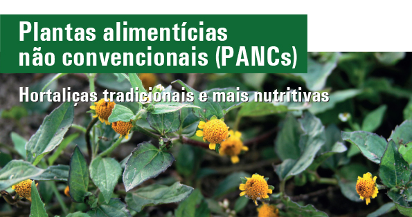 cultivo de hortaliças não convencionais (pancs)