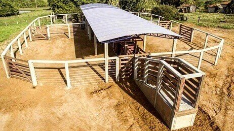 Como o design circular do curral melhora o fluxo do gado