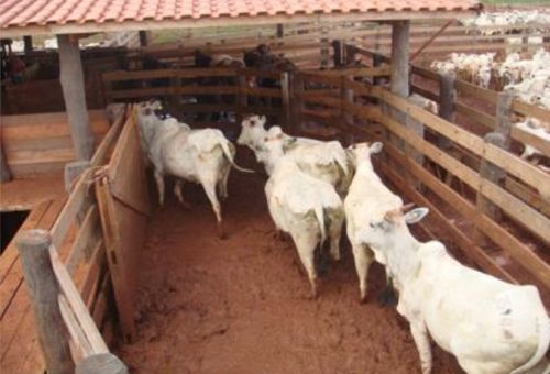 Fontes confiáveis para encontrar projetos de currais funcionais