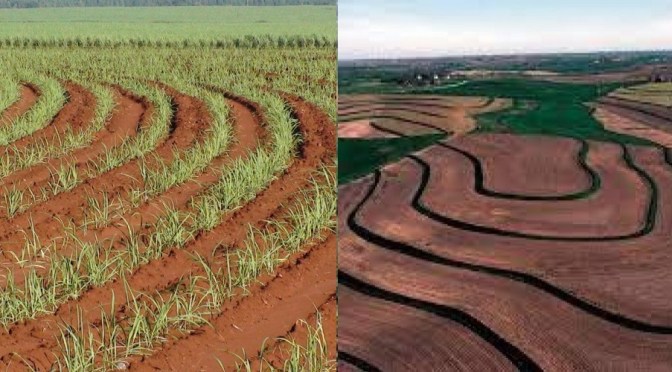 curvas de nível para controle da erosão