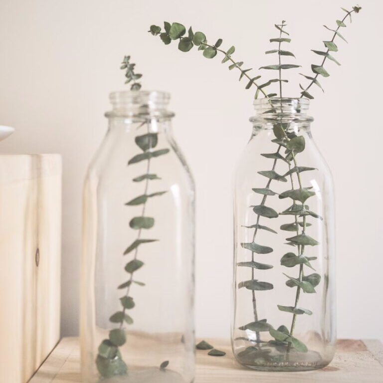 como economizar comprando eucalipto para decoração