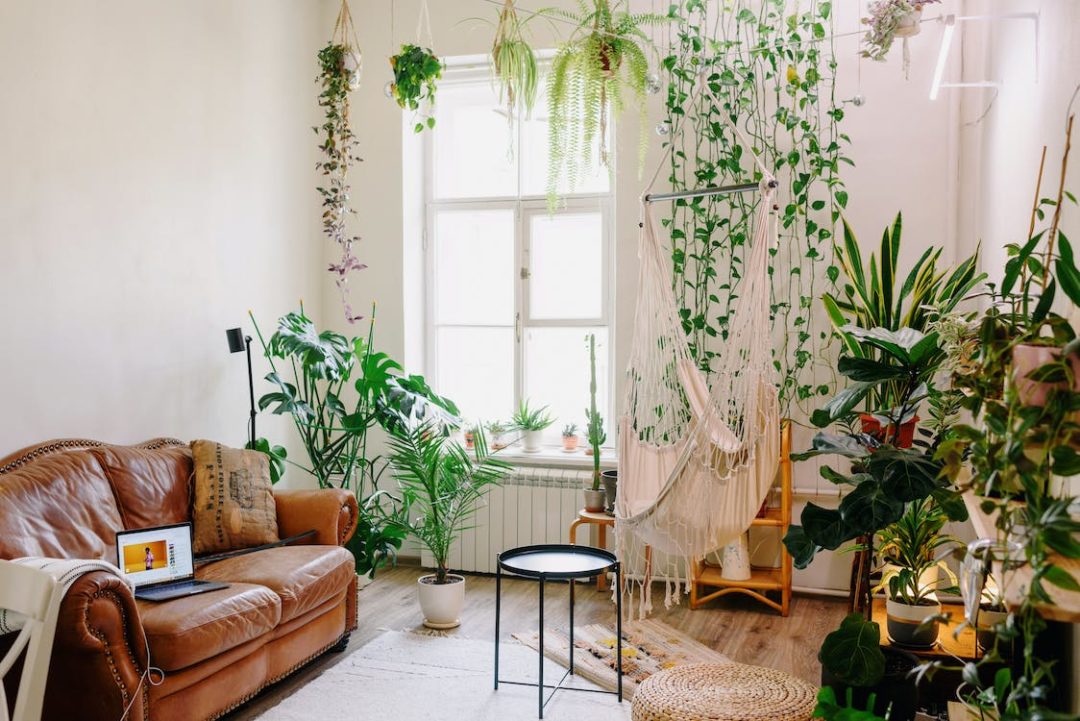 como criar um ambiente boho autêntico