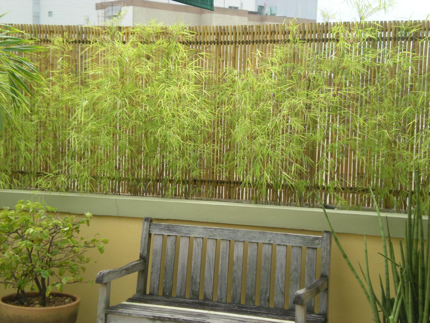 quanto custa decorar um quarto com bambu